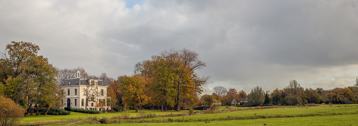 Hoe staat het met het vermogen van Nederlandse familiestichtingen